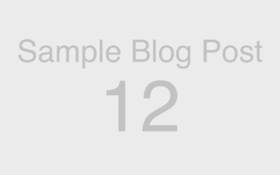 Web Blocks: Sample Blog Post 12