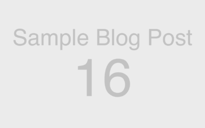 Web Blocks: Sample Blog Post 16